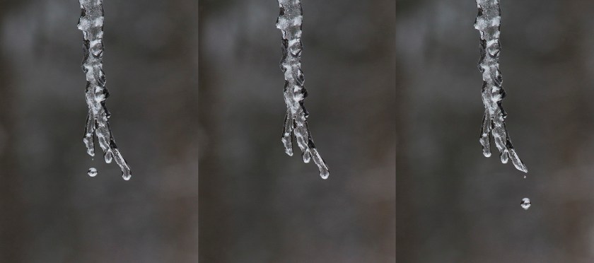 TricicleTriptych_Composite_small