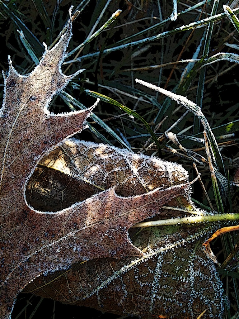 PuceBook_Page055_Frost