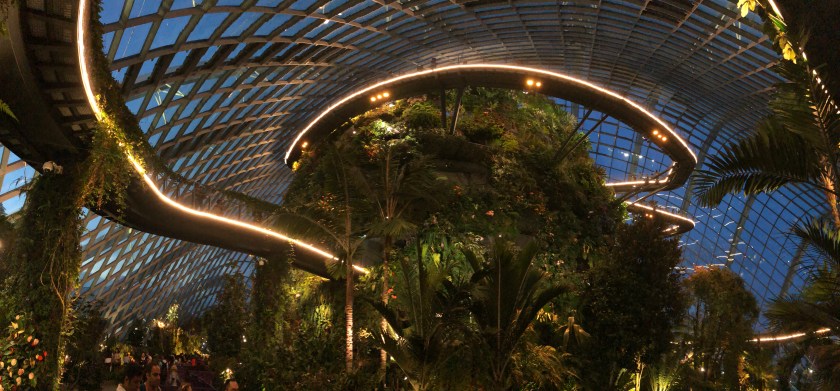 GardensByTheBay_09_CloudForest_pano