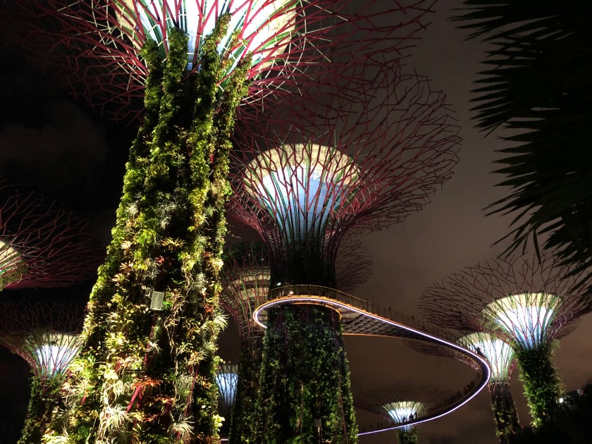 GardensByTheBay_16_SuperTrees