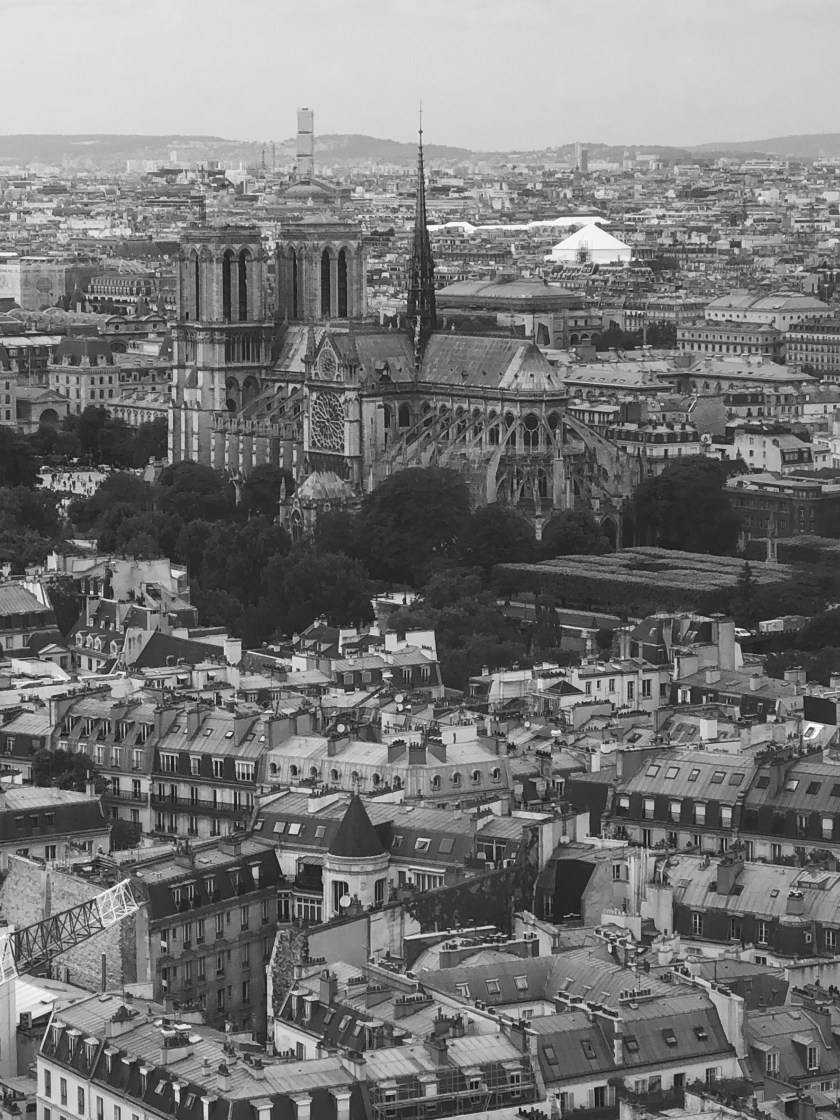 B&amp;W_UPMC_Zamansky_02