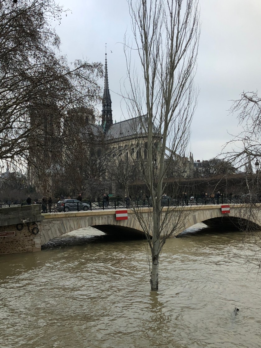 SeineFlooding_07.JPG