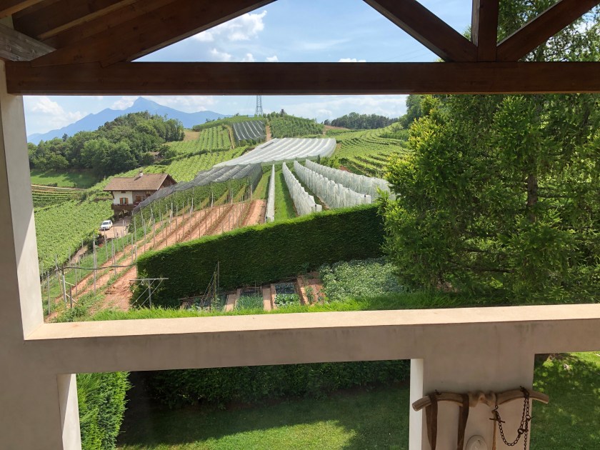 Palu_MasoPomarolli_02