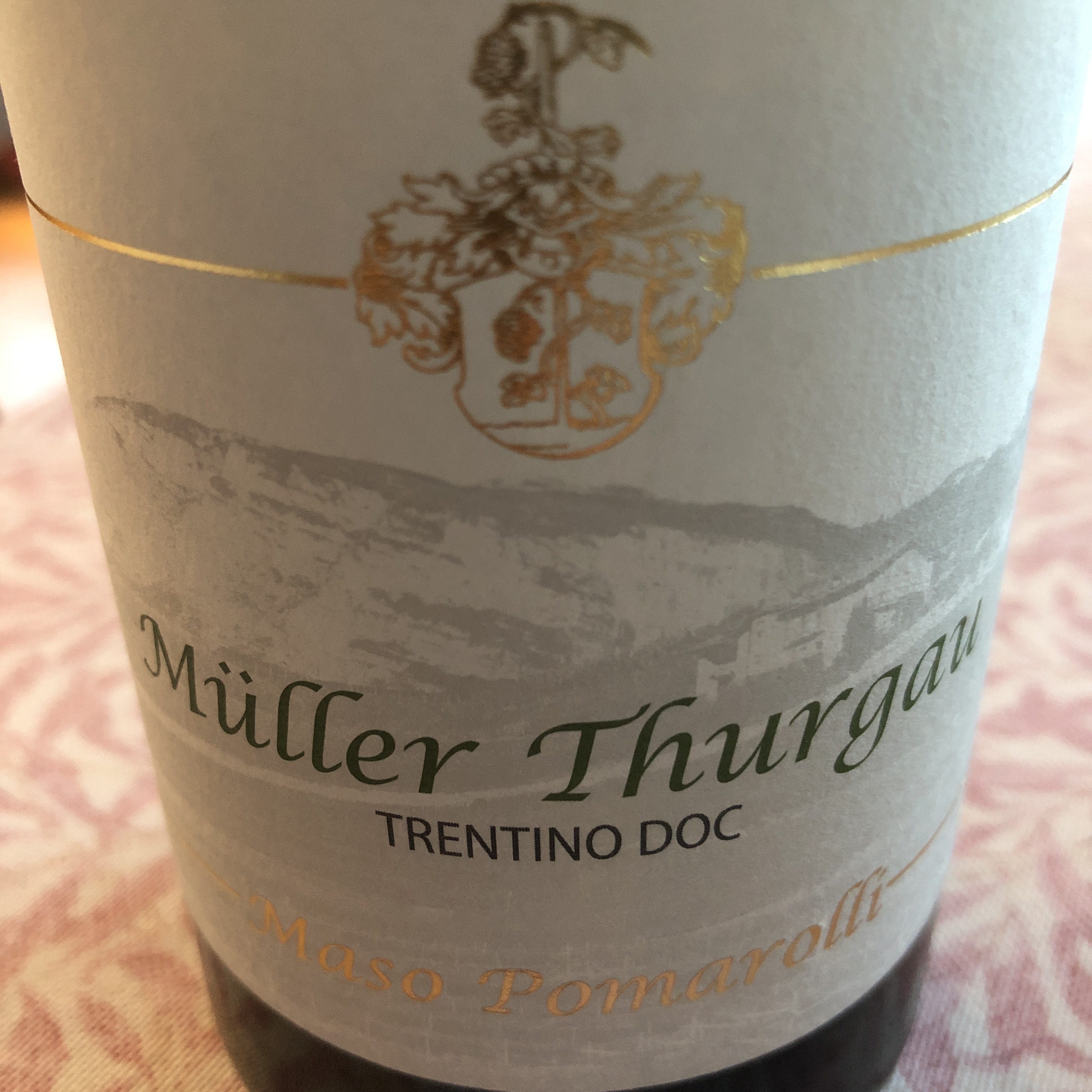 Palu_MasoPomarolli_03