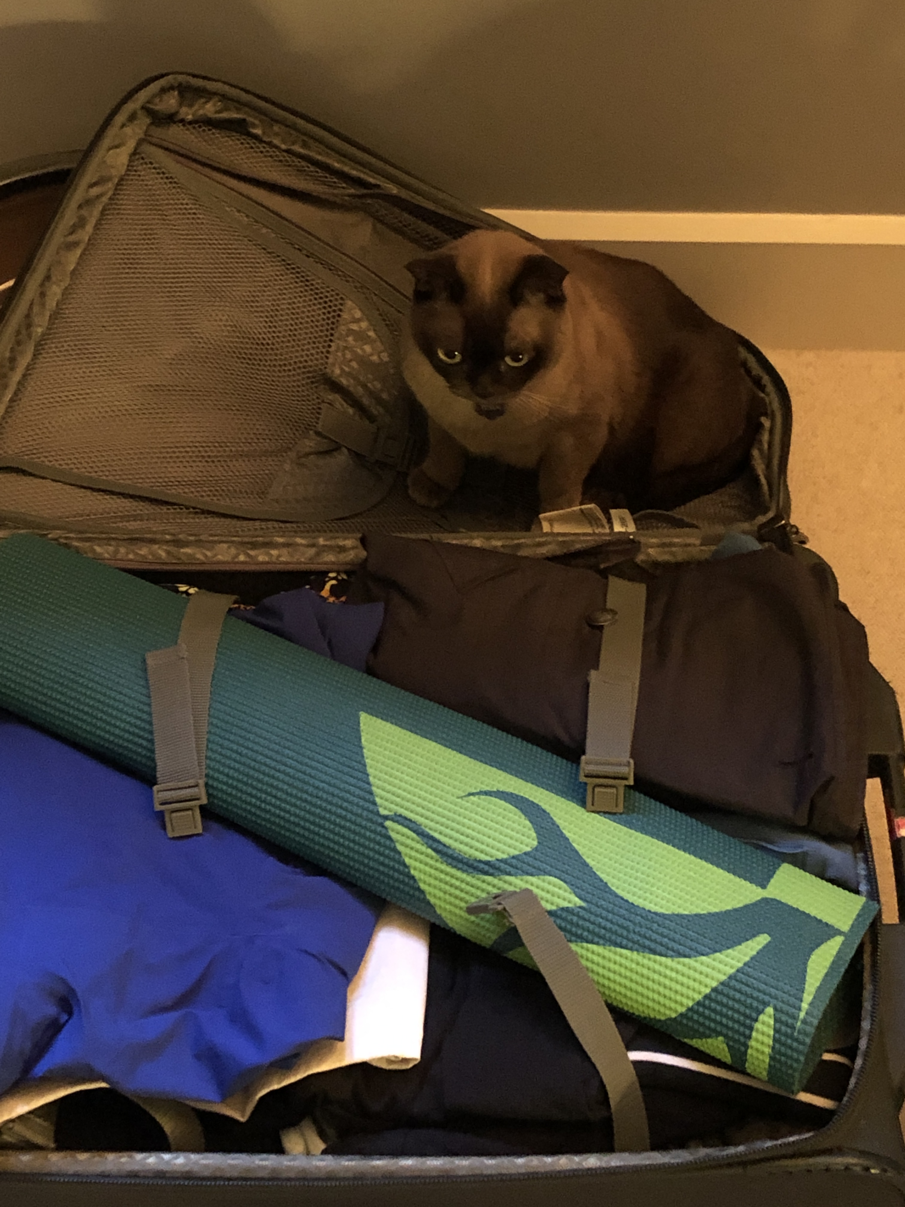 UnpackingAssistant